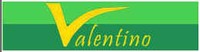 logo Valentino